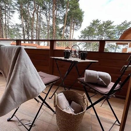 Apartment ренета Reneta Velingrad