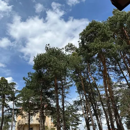 ренета Reneta * Velingrad