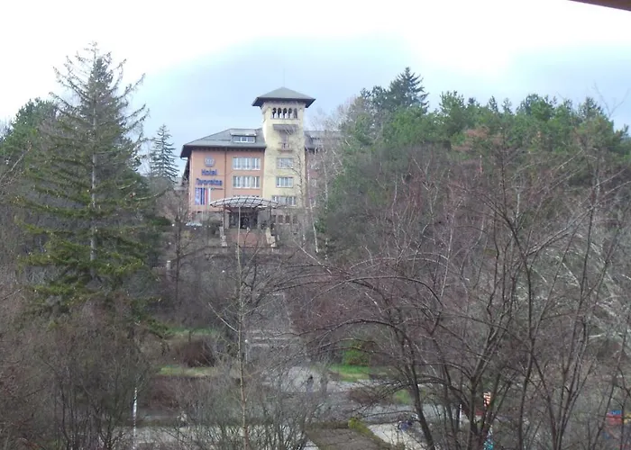 ренета Reneta * Velingrad